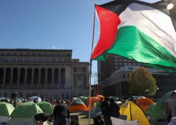 Voices for Gaza: A chronicle of student Protests Across America