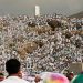 Muslim pilgrims pray on Mount Arafat in hajj climax