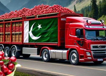 Pakistan Sends First Batch of Fresh Cherries to China