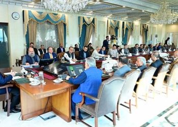 Budget 2024-25: PM Shehbaz to review development programmes in NEC meeting today