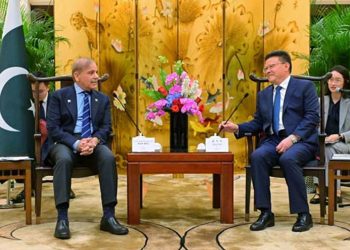 PM Shehbaz Sharif: Pakistan Eager to Emulate China's Economic Model for Growth