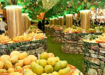 Inaugural Al Hamba Festival in Doha Celebrates the Richness of Pakistani Mangoes