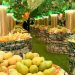 Inaugural Al Hamba Festival in Doha Celebrates the Richness of Pakistani Mangoes