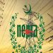 Pakistan to Launch 'NEPRA Asaan Approach' App to Address Electricity-Related Issues