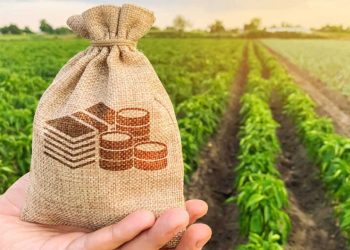 IMF conditions: Govt planning to tax agriculture income, says Zardari