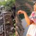Social Media Influencer Aanvi Kamdar Falls to Death in 300-Foot Gorge