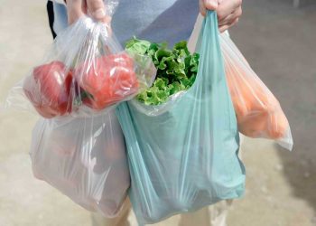 International Plastic Bag Free Day Observed Today