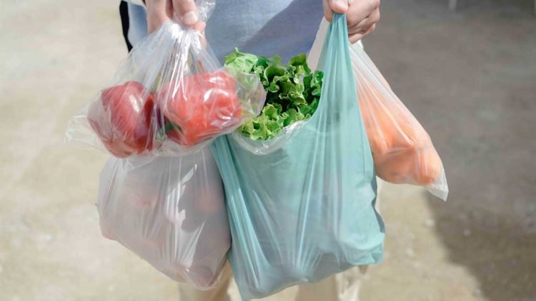 International Plastic Bag Free Day Observed Today