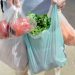 International Plastic Bag Free Day Observed Today