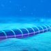 Submarine Cable Damage Causes Internet Issues in Pakistan, PTA Chairman Informs NA Committee