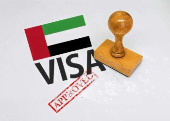UAE Tourist Visa Requirements: Key Details from Pakistan's Ambassador