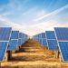 Sindh to provide solar panels to 200,000 households