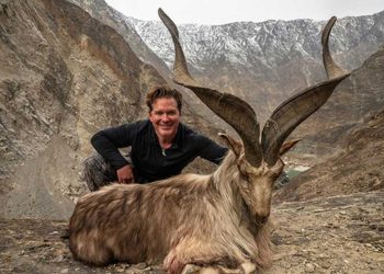 Astore Markhor Trophy Hunting Permit in Pakistan Fetches Record $107,000
