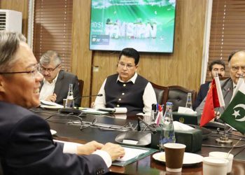 China, Pakistan Discuss Progress on Key CPEC Projects, Security of Chinese Nationals