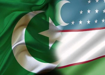 Pakistan and Uzbekistan Explore Joint Business Ventures in Tashkent