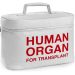 Temporary Ban on Organ Transplants Imposed in Islamabad Amid Scandal