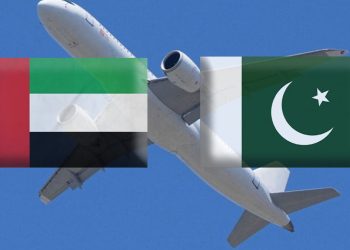 Senate Committee Discusses Visa Issues for Pakistanis Traveling to Dubai