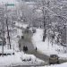 Cold Wave Grips Islamabad as Temperature Drops to Freezing Point