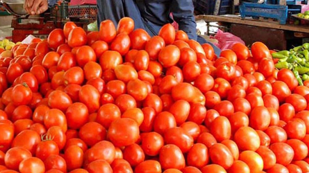 Tomato prices high