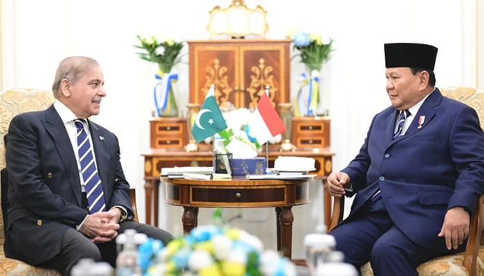 Pak and Indonesia agreement