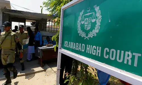 Islamabad High Court Halts Tree Felling by CDA Pending Detailed Report