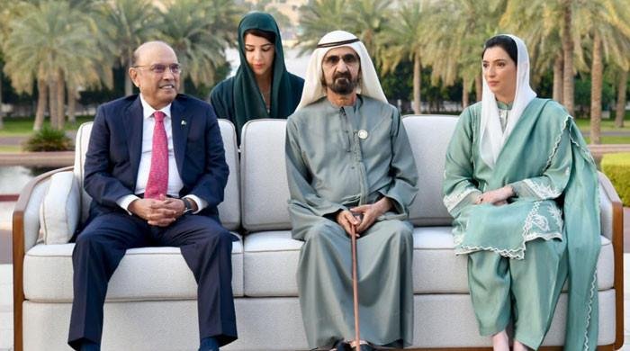 President Zardari Engages UAE Leaders to Enhance Bilateral Trade and Cooperation