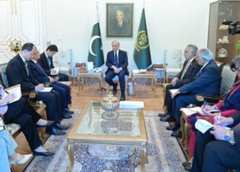 PM Shehbaz reaffirms commitment to advance CPEC-II