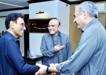 President Zardari calls for strengthening internal security