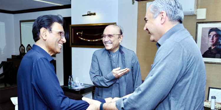 President Zardari calls for strengthening internal security