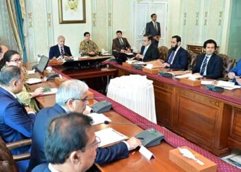 Adequate petroleum stocks available in country: PM