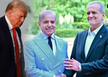 Pakistan fully supports dialogue to end Middle East war: PM