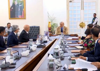 Govt committed to facilitating global investors, especially in IT sector: PM