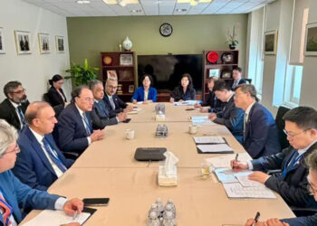 Aurangzeb lauds Beijing’s support for Pakistan’s IMF programme during meeting with Chinese counterpart