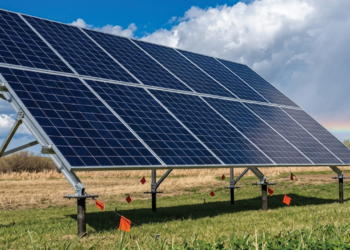 Sindh CM directs fast-track delivery of solar panels to deserving households