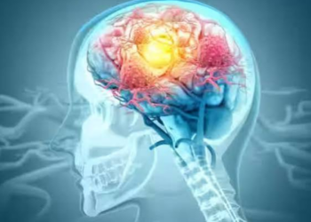 New Research Reveals Potential Way to Restore Sleep in Alzheimer's Disease