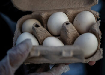 Poultry firm recalls nearly 1.6 mln dozen eggs over potential salmonella, US FDA says