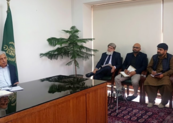 Govt reviews wheat procurement, assures provincial stocks