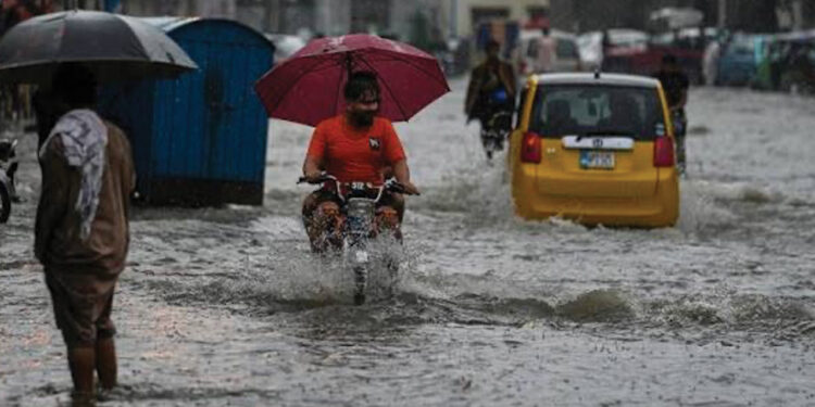 Rain, flash floods claim 14 lives in KP: PDMA