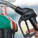 Petroleum minister consults industry on daily fuel pricing reform