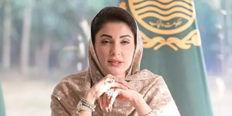 Pink salt value addition finance scheme launched in Punjab