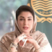 Pink salt value addition finance scheme launched in Punjab