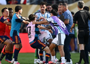 FIFA investigates Spain-Argentina World Cup final brawl