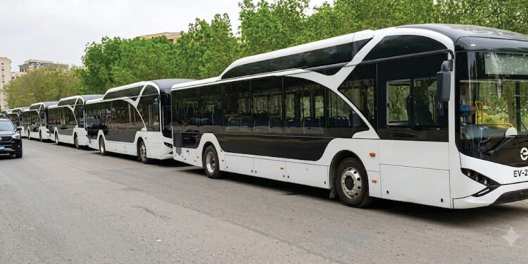 Sindh to add 50 double-decker, 500 EV buses to public transport
