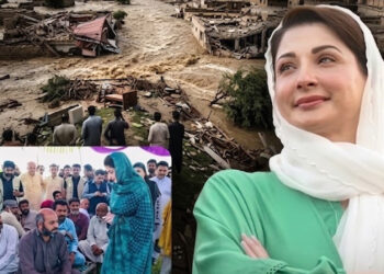 CM Maryam Orders All Relevant Departments To Cope With Flood Issues Effectively