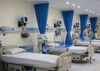 Punjab Launches Health Connect Programme to Bring International Medical Expertise to Public Hospitals