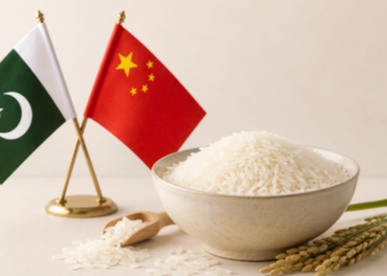 Pakistani Exporters Secure Orders to Export 60,000 Tons of Rice to China