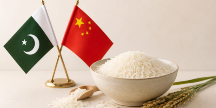 Pakistani Exporters Secure Orders to Export 60,000 Tons of Rice to China