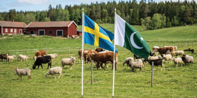 Sweden Backs Pakistan's Global Role on Antimicrobial Resistance