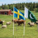Sweden Backs Pakistan's Global Role on Antimicrobial Resistance