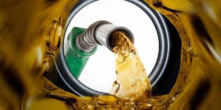 Petrol, Diesel Prices Will Remain Unchanged For 2 Days